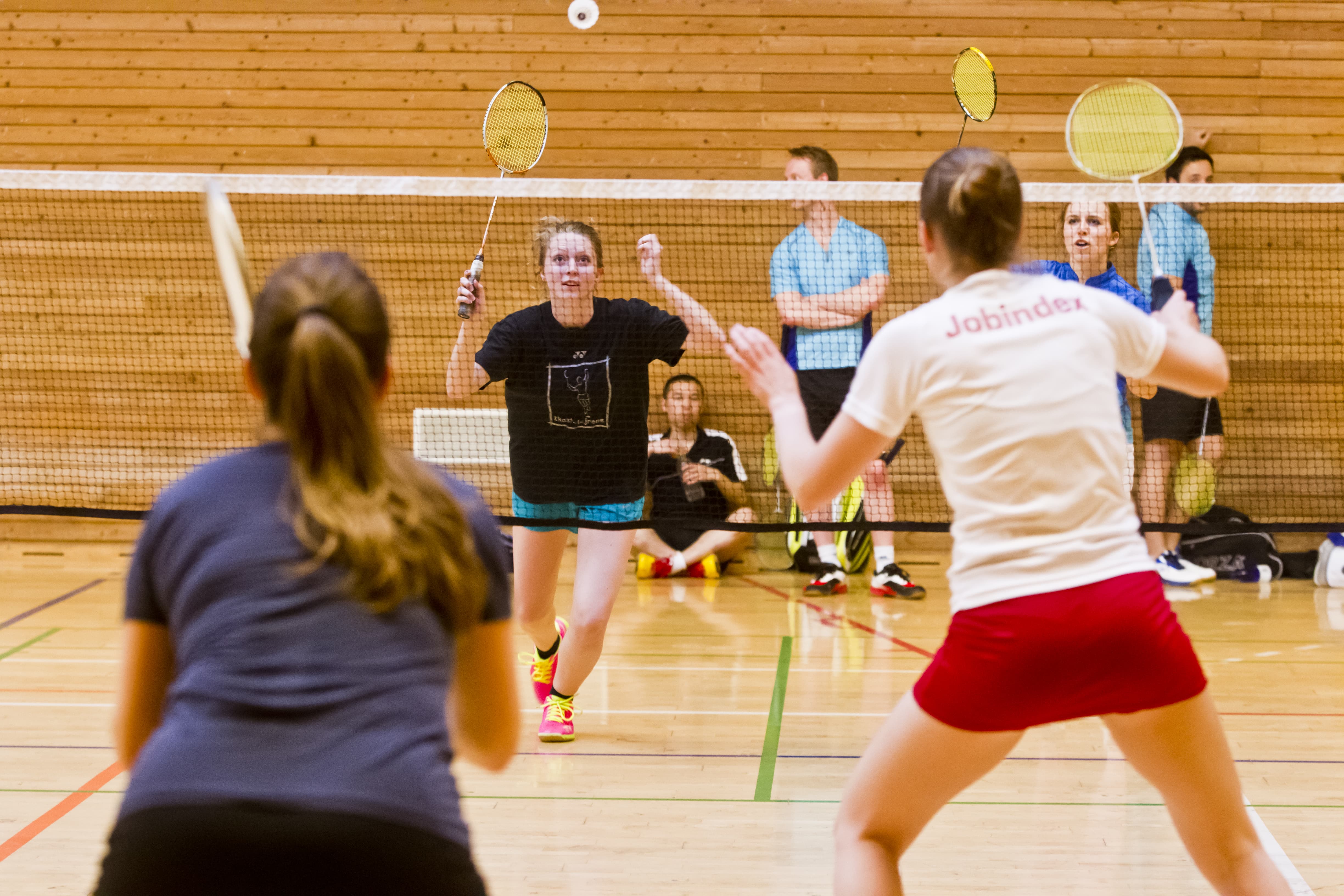 badminton copenhagen københavn badmintontræner træner badminton coach apply open positions